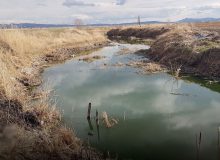 مدیریتی که با طبیعت قهر کرده است؛ روایت بحران‌های خاموش کرمانشاه