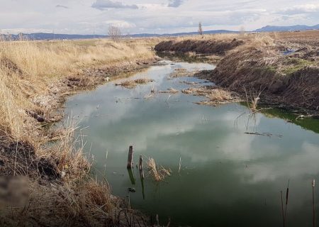 مدیریتی که با طبیعت قهر کرده است؛ روایت بحران‌های خاموش کرمانشاه