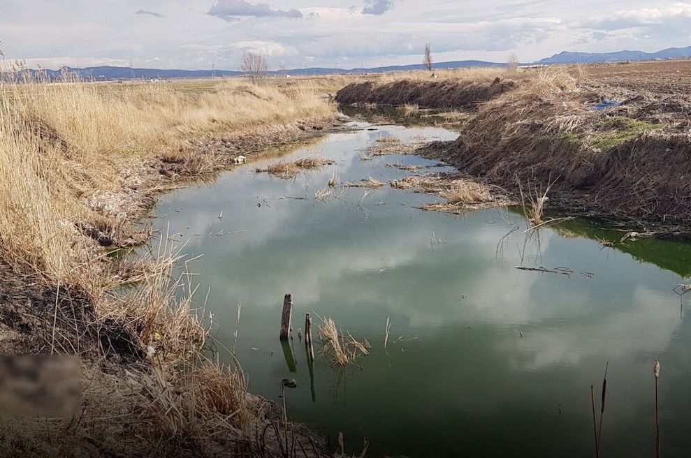 مدیریتی که با طبیعت قهر کرده است؛ روایت بحران‌های خاموش کرمانشاه