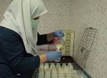 احداث نخستین بانک شیر مادر در ایلام