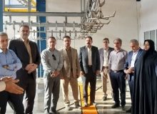 شتاب در باغبانی ایلام؛ طرح ۲۰۰ هکتاری کنگیر ایوان وارد فاز نهایی شد