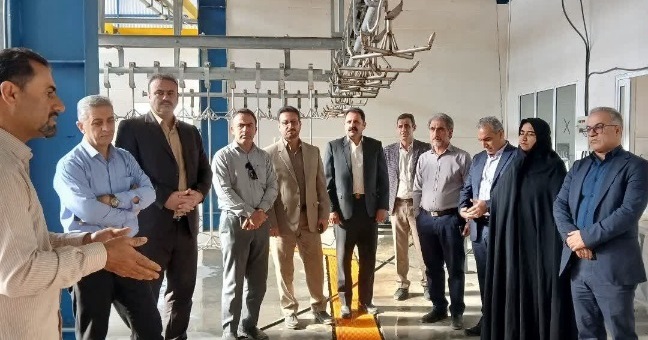 شتاب در باغبانی ایلام؛ طرح ۲۰۰ هکتاری کنگیر ایوان وارد فاز نهایی شد