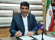 برداشت بیش از ۶۵۰ تن چوب از اراضی کشاورزی دهلران/ توسعه زراعت چوب در دستور کار منابع طبیعی