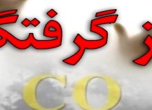 مسمومیت ۲۶ نفر با گاز مونوکسیدکربن در ایلام