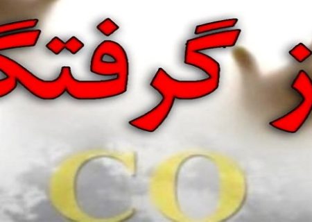 مسمومیت ۲۶ نفر با گاز مونوکسیدکربن در ایلام