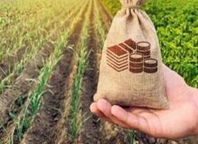 مرهمی بر زخم کشاورزان لرستان / پرداخت ۲۶۸ میلیارد تومان غرامت کلید خورد