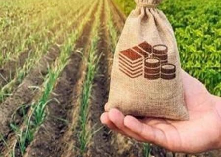 مرهمی بر زخم کشاورزان لرستان / پرداخت ۲۶۸ میلیارد تومان غرامت کلید خورد