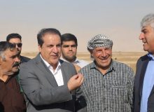 ۹ هزار هکتار از اراضی ایلام امسال زیر کشت سامانه گرمسیری می‌رود