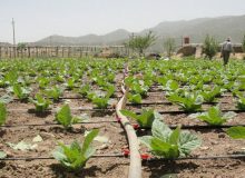 کرمی: ۱۵ هزار میلیارد تومان برای طرح سامانه گرمسیری ایلام هزینه شد