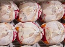 ۴۶ تن مرغ تنظیم بازار وارد چرخه عرضه و توزیع در ایلام شد