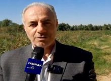 غرس بیش از ۳۵۰ میلیون نهال در اجرای طرح «یک میلیارد درخت»