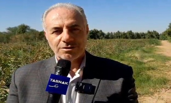 غرس بیش از ۳۵۰ میلیون نهال در اجرای طرح «یک میلیارد درخت»