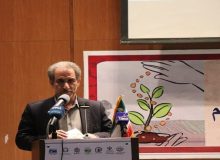 توسعه ۵۰۰ هکتار باغ در اراضی شیب دار ایلام در دستور کار قرار گرفت