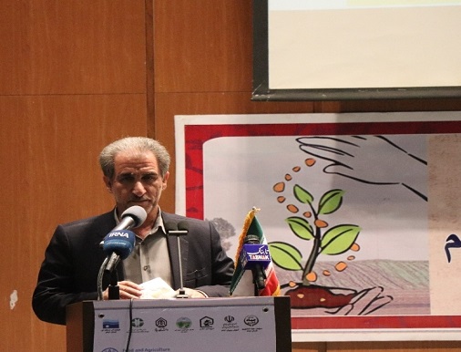 توسعه ۵۰۰ هکتار باغ در اراضی شیب دار ایلام در دستور کار قرار گرفت