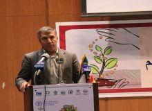 سوختن بیش از ۴۵۰ هکتار از جنگل‌های ایلام در سال‌جاری/ قانون حفاظت خاک نیازمند همکاری ۱۵ دستگاه اجرایی است