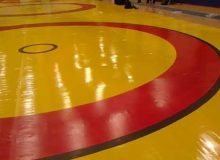 محرومیتهای سنگین در انتظار خاطیان و عوامل درگیری در سالن کشتی نهاوند