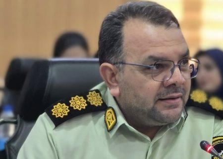 دستگیری باند سارقان حرفه‌ای در ایلام