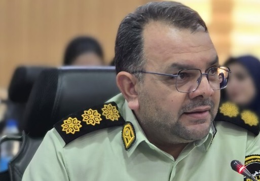 دستگیری باند سارقان حرفه‌ای در ایلام