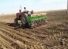 توسعه ۲۰ هکتاری گیاهان علوفه‌ای در اراضی دیم سیروان