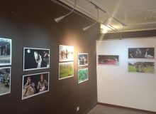 ۲۰ دی، آخرین مهلت ارسال اثر به هشتمین هفته فیلم و عکس ایلام