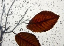 ثبت ۲۳ میلیمتر باران در آبدانان