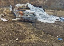 خسارت پنج میلیارد تومانی سیلاب به عشایر ایلام