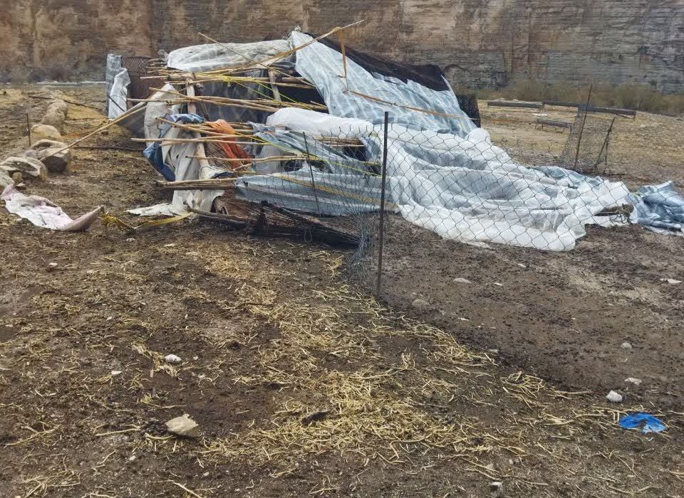 خسارت پنج میلیارد تومانی سیلاب به عشایر ایلام