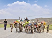 عملیات بهسازی راه های عشایری ایلام خسارت دیده از سیلاب آغاز شد