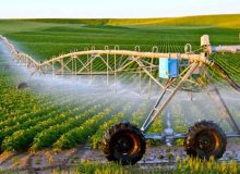 امکان آبیاری ۱۵ هزار هکتار از اراضی کشاورزی آبدانان فراهم است