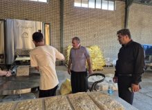 ۱۸ گزارش تخلف برای نانوایان شهرستان ایوان صادر شد