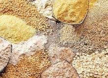 عزیزان: ۷۹۰۰ تن نهاده برای مرغداری های ایلام تامین شد