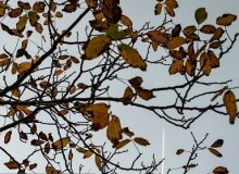 احمدی نژاد: هوای برخی مناطق استان ایلام به زیر صفر رسید