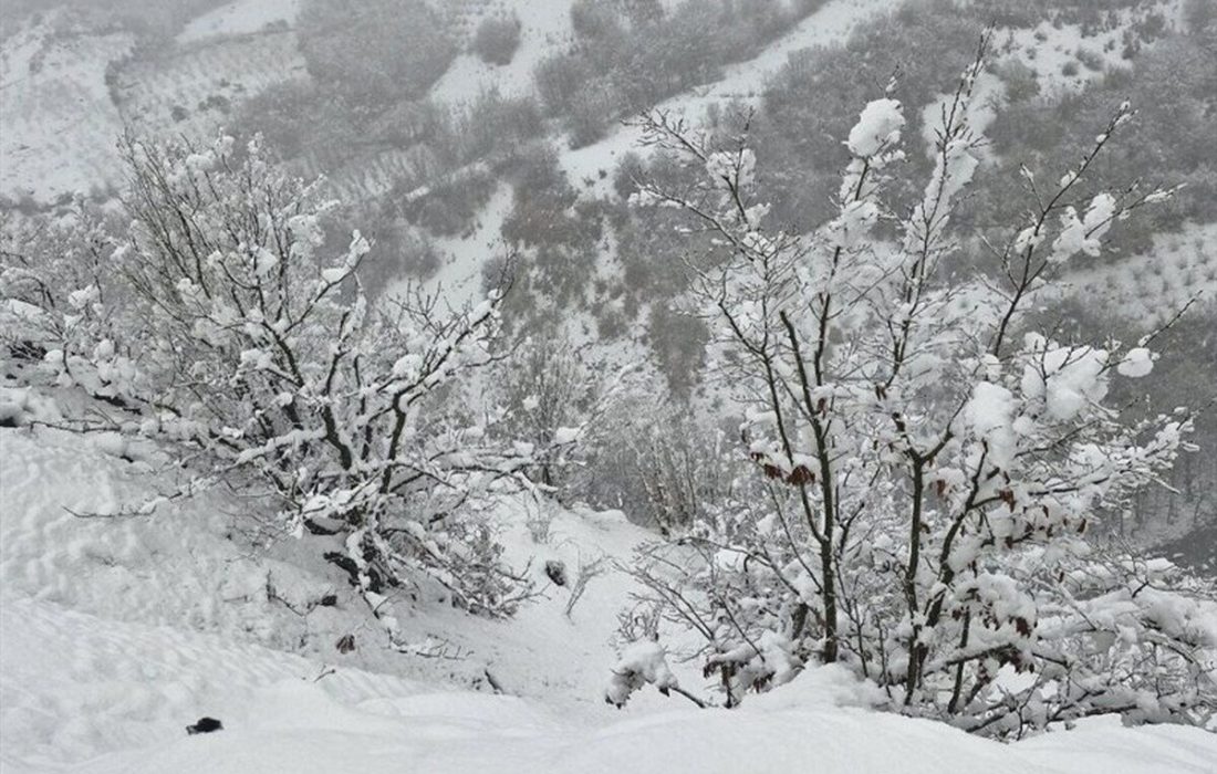 آغاز بارش برف و باران در ایلام