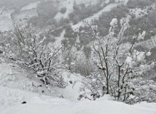 آغاز بارش برف و باران در ایلام