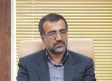 هیچ نگرانی برای تامین کالاهای اساسی در ایلام وجود ندارد/ کیفیت نان در حال ارتقا