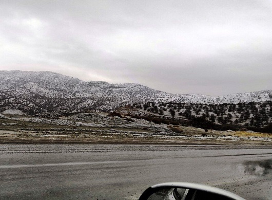 یخبندان صبحگاهی در ایلام؛ ثبت دمای زیر صفر در ۶ شهر