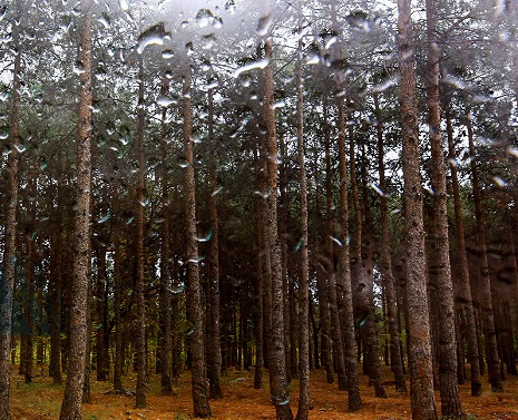 هواشناسی: میزان بارش‌های ایلام متعادل پیش‌بینی می‌شود