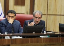 رشد ۱۵ درصدی تولید مرغ در ایلام؛ انبار کالاهای اساسی تکمیل است