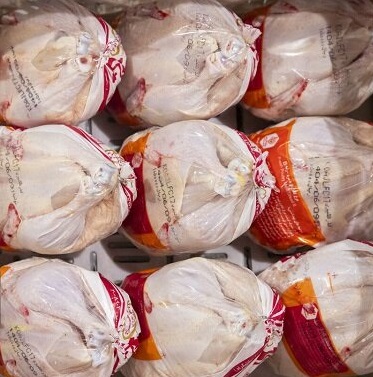 استان تولیدکننده‌ای که واردکننده شد؛ چرخه‌ معکوس مرغ در ایلام