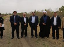 تولید نهال‌های مقاوم از جمله راه‌های توسعه جنگل‌کاری اقتصادی و تقویت منابع طبیعی است