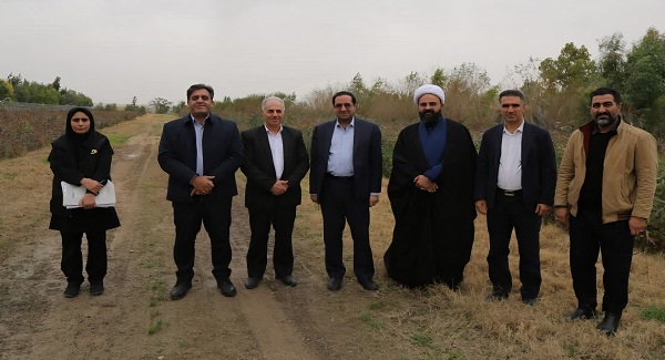 تولید نهال‌های مقاوم از جمله راه‌های توسعه جنگل‌کاری اقتصادی و تقویت منابع طبیعی است