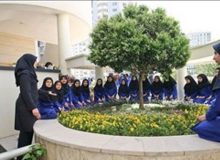 ۱۳۰ میلیارد تومان برای ساخت مدارس سبز و صنعتی در ایلام هزینه میشود