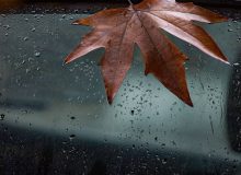 ایلام بارانی می‌شود