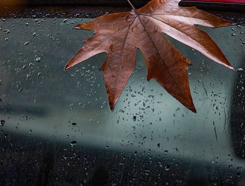 ایلام بارانی می‌شود