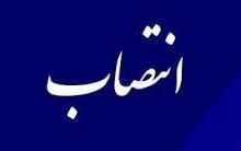 سرپرست شهرداری ایلام منصوب شد